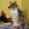 Отзыв от Эмилия Евдокимова